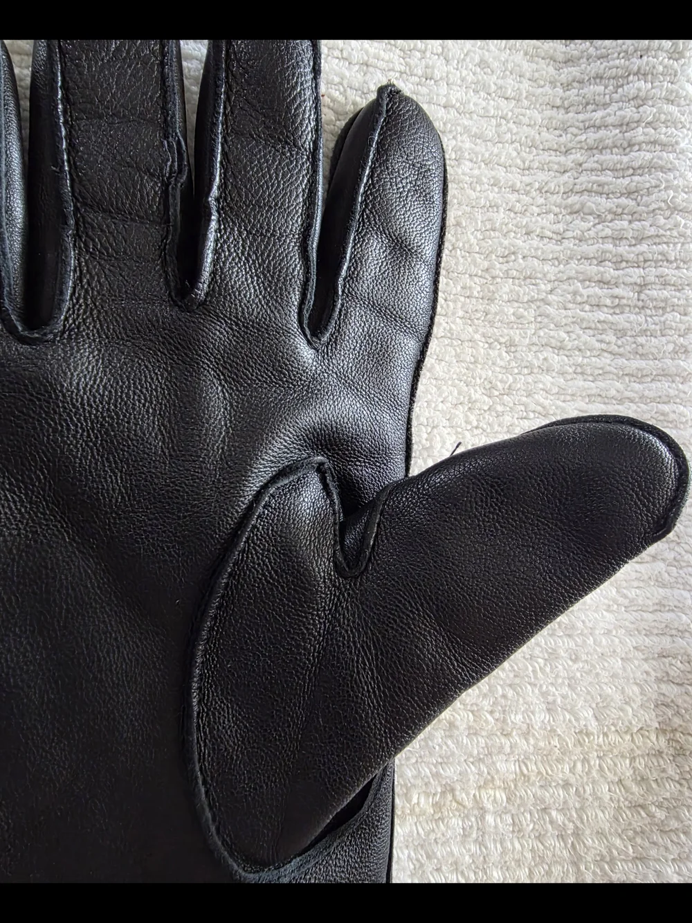 Etienne Aigner Black Leather Men's Gloves with Subtle Logo